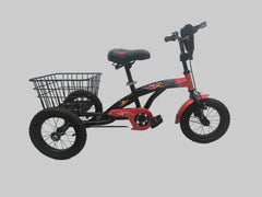 TRICYCLE 12" GWINGS BASKET - Golden Hill Bikes