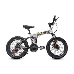 Folding Bike Steel F - 4 20" GT - BMC 4 - Golden Hill Bikes