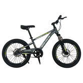 Mountain Bike 20" Cosmic - Golden Hill Bikes
