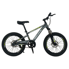 Mountain Bike 20" Cosmic - Golden Hill Bikes