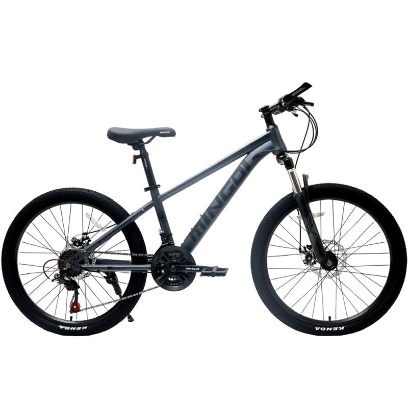 BICYCLE STEEL 24
