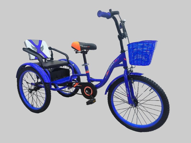 TRICYCLE 20" GWINGS SEAT - Golden Hill Bikes