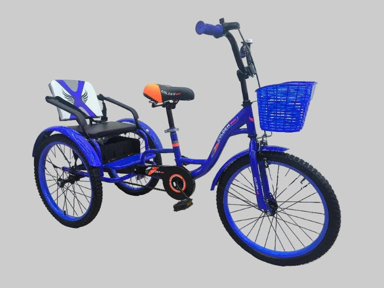 TRICYCLE 20" GWINGS SEAT - Golden Hill Bikes