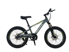 Golden Wings MTB