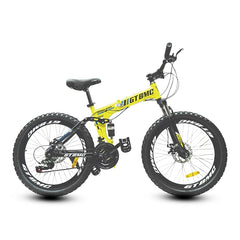 24" Folding Bike