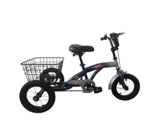 TRICYCLE 12" GWINGS BASKET - Golden Hill Bikes